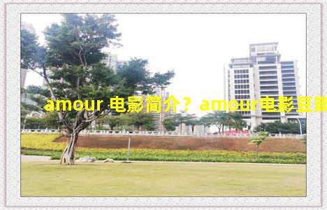 amour 电影简介？amour电影豆瓣